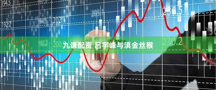 九谦配资 吕宇峰与滇金丝猴